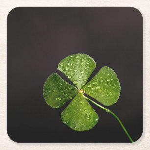 Irish Shamrock Four Leaf Clover Onderzetters