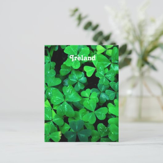 Irish Shamrocks Briefkaart (Staand voorkant)