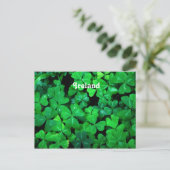 Irish Shamrocks Briefkaart (Staand voorkant)