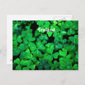 Irish Shamrocks Briefkaart (Voorkant / Achterkant)