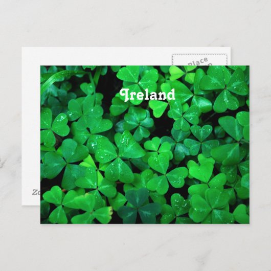 Irish Shamrocks Briefkaart (Voorkant / Achterkant)