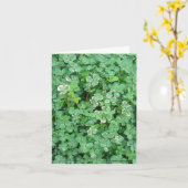 Irish Shamrocks Natuur Foto Blank Note Kaart (Gele Bloem)