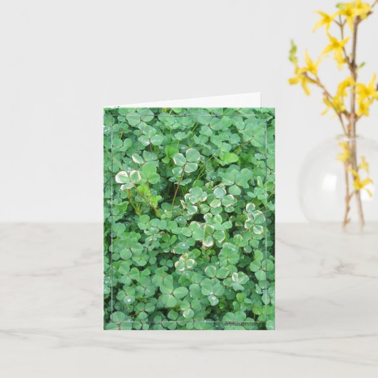 Irish Shamrocks Natuur Foto Blank Note Kaart (Gele Bloem)