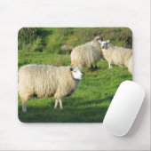 Irish Sheep Muismat (Met muis)