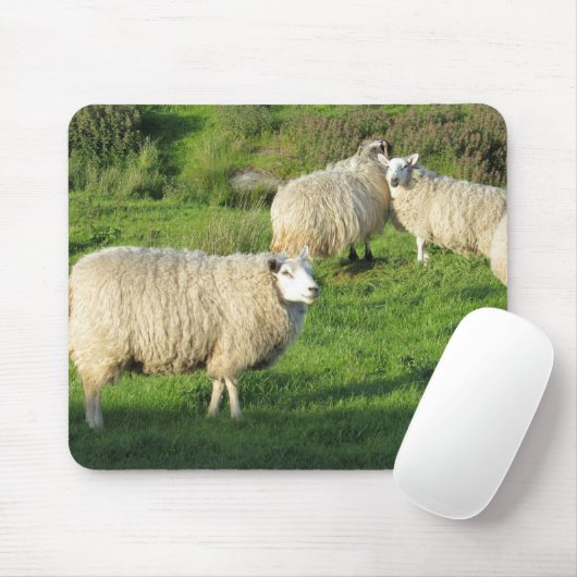 Irish Sheep Muismat (Met muis)