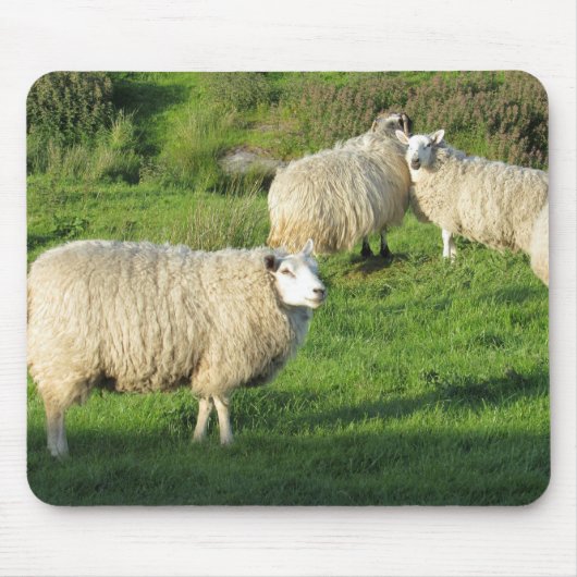 Irish Sheep Muismat (Voorkant)