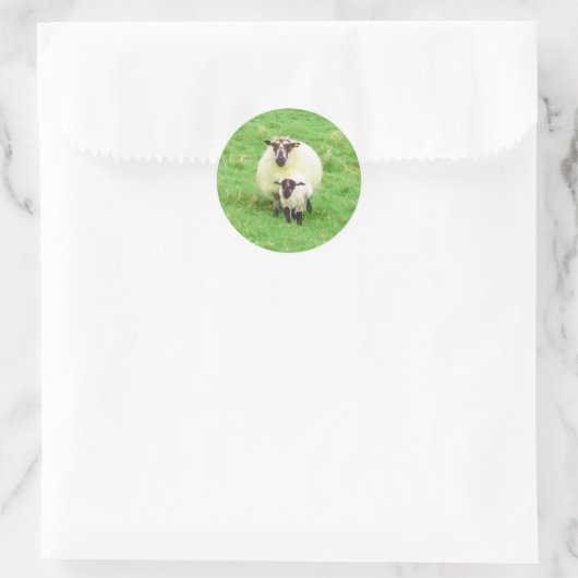 Irish Sheep Stickers (Tas)