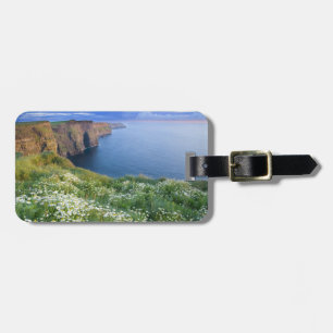 Irish Shore Bagagelabel
