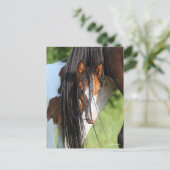 Irish Sport Horse Foal Hiding under Tail Briefkaart (Staand voorkant)