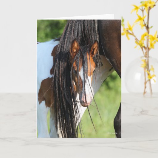 Irish Sport Horse Foal Hiding under Tail Kaart (Gele Bloem)