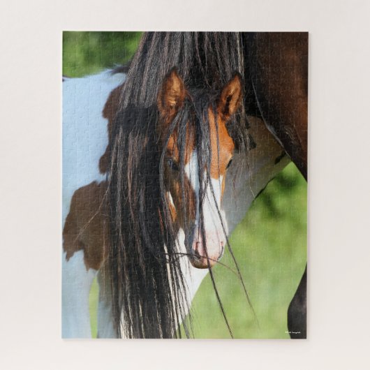 Irish Sport Horse Foal Hiding under Tail Legpuzzel (Verticaal)