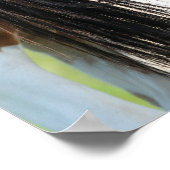 Irish Sport Horse Foal Hiding under Tail Poster (Hoek)