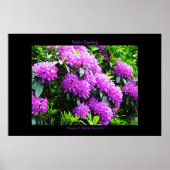 Irish Spring Poster Print (Voorkant)