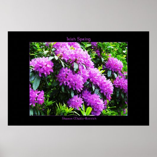 Irish Spring Poster Print (Voorkant)