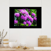 Irish Spring Poster Print (Keuken)