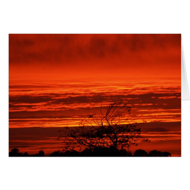 Irish Sunset, Cork, Ierland Kaarten (Voorkant Horizontaal)