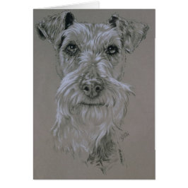Irish Terrier