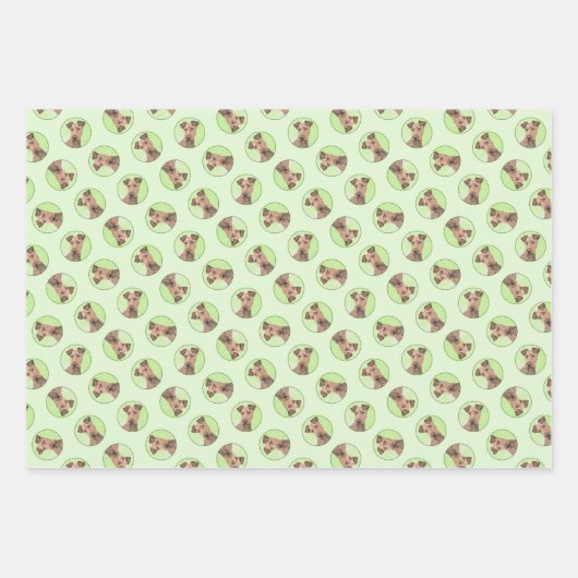 Irish Terrier Inpakpapier Vel (Voorkant)