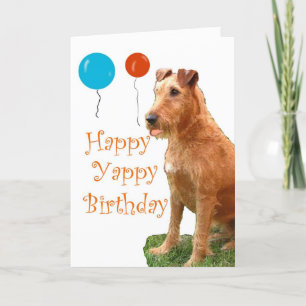 IRISH TERRIER KAART