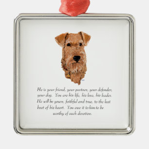 Irish Terrier Keepomwille - Male Metalen Ornament