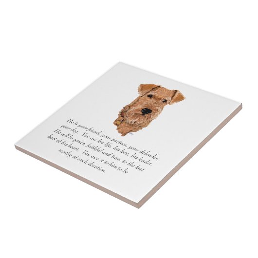 Irish Terrier Keepomwille - Male Tegeltje (Zijkant)