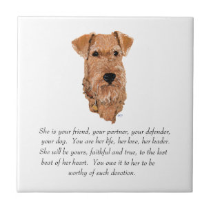 Irish Terrier Keepomwille - Vrouw Tegeltje