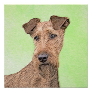 Irish Terrier Painting - Cute Original Dog Art Perfect Poster