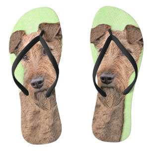Irish Terrier Painting - Cute Original Dog Art Teenslippers