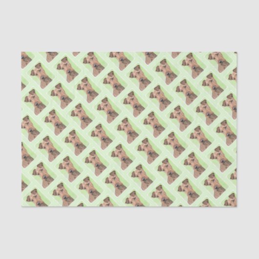 Irish Terrier Painting - Cute Original Dog Art Tissuepapier (Voorkant)