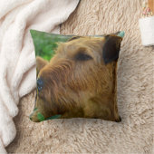 Irish Terrier Pet Dog Sierkussen Home Decor (Deken)