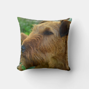 Irish Terrier Pet Dog Sierkussen Home Decor