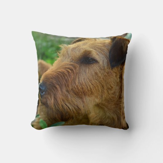 Irish Terrier Pet Dog Sierkussen Home Decor (Voorkant)