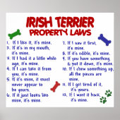 IRISH TERRIER PL2 POSTER (Voorkant)
