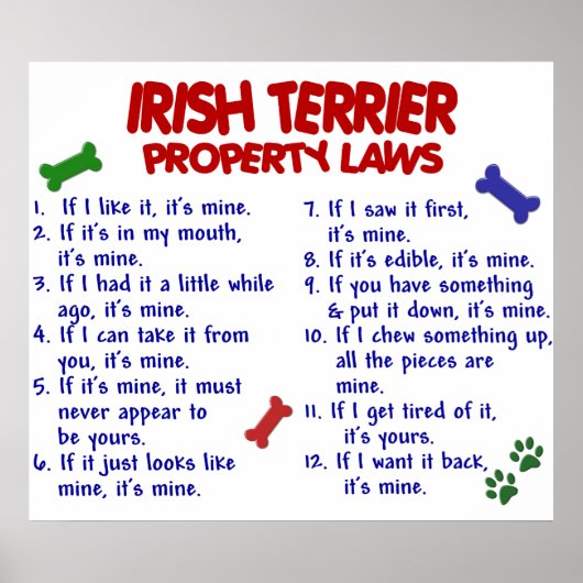 IRISH TERRIER PL2 POSTER (Voorkant)