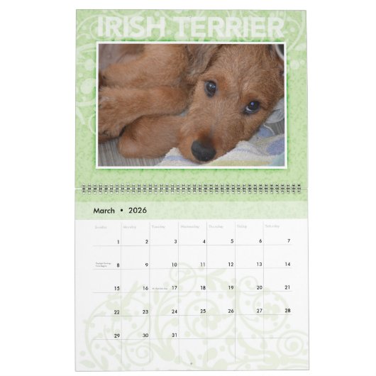 Irish Terrier Puppies 2020 Wall Calendar Kalender (Mar 2026)