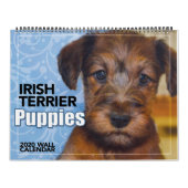 Irish Terrier Puppies 2020 Wall Calendar Kalender (Hoes)