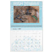 Irish Terrier Puppies 2021 Wall Calendar Kalender (Jan 2027)