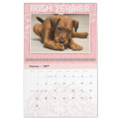 Irish Terrier Puppies 2021 Wall Calendar Kalender (Feb 2027)
