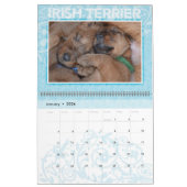 Irish Terrier Puppies 2021 Wall Calendar Kalender (Jan 2026)