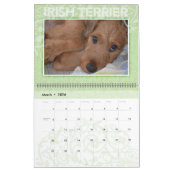 Irish Terrier Puppies 2021 Wall Calendar Kalender (Mar 2026)