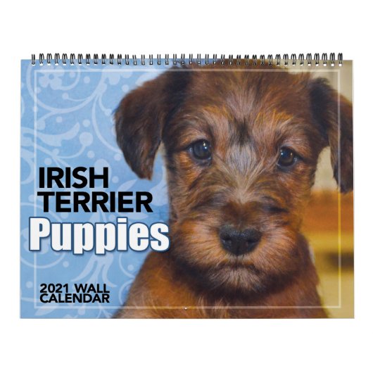 Irish Terrier Puppies 2021 Wall Calendar Kalender (Hoes)