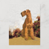 Irish Terrier Seaside Briefkaart (Voorkant)