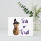 Irish Terrier Trick Briefkaart (Staand voorkant)