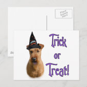 Irish Terrier Trick Briefkaart (Voorkant / Achterkant)