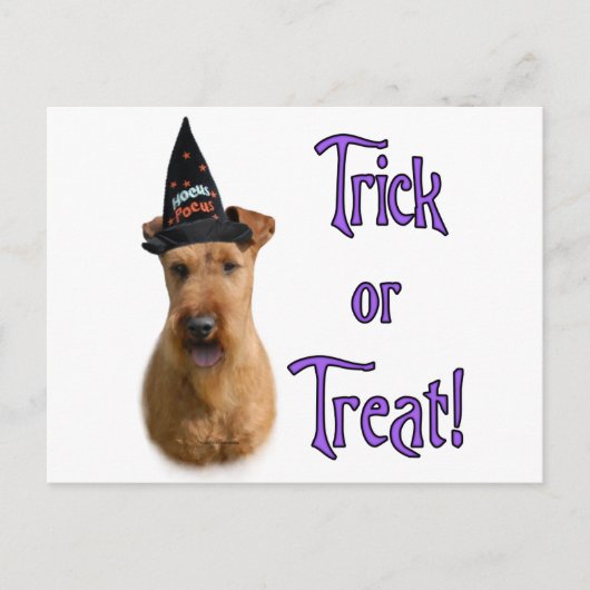 Irish Terrier Trick Briefkaart (Voorkant)