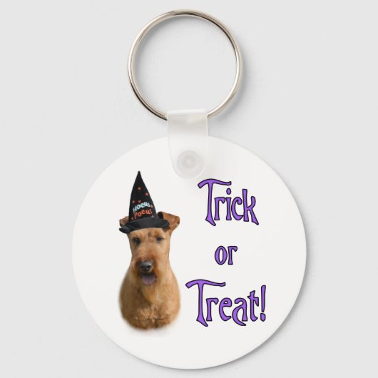 Irish Terrier Trick Sleutelhanger (Voorkant)