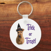 Irish Terrier Trick Sleutelhanger (Voorkant)