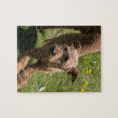 Irish Terrier Yoga Legpuzzel (Horizontaal)