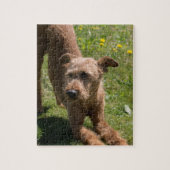 Irish Terrier Yoga Legpuzzel (Verticaal)