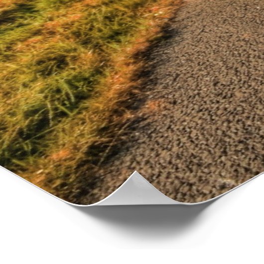 Irish Thatched Cottages Poster (Hoek)